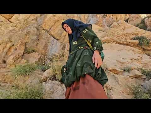 Tooba s epic journey in the wild an adventurous journey