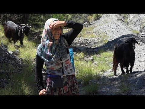 ÇOBANLARIN GÖZÜNDEN DÜNDEN BUGÜNE KÖY YAŞAMI Belgesel
