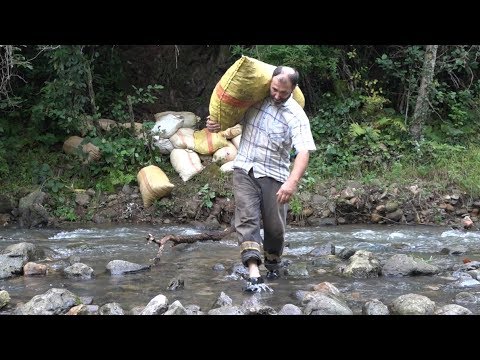 Köy belgeseli Bir Fındık Sezonu
