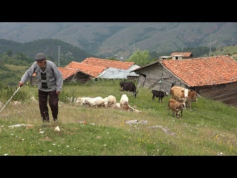 91 yaşında dağlarda gezen çoban Belgesel