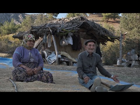 Toprak Altında Yaşam Yer Köm 4K