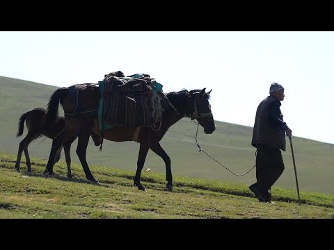 Yayla ve İnsan Belgesel 4K
