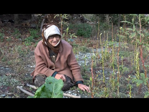 Yalnız bir yaşam Nasır tutan eller Belgesel