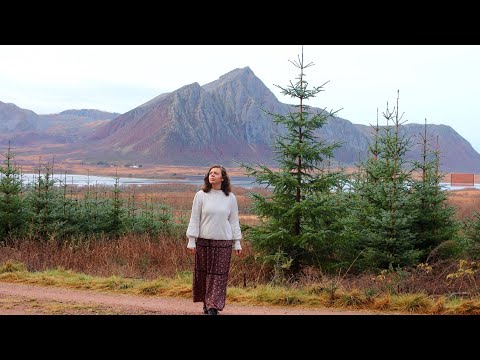 Moving to a Scandinavian Island Preparing for Winter in the