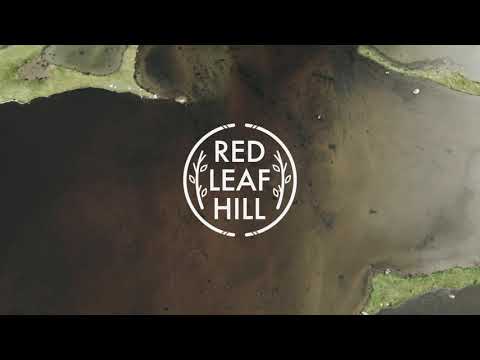Red Leaf Hill The World Keeps Spinning Ambiance Video