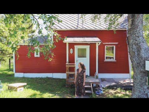 Working On Our Dream Renovating a old Scandinavian House