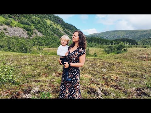 Adventure in the Arctic Circle Cloudberries Homebuilding