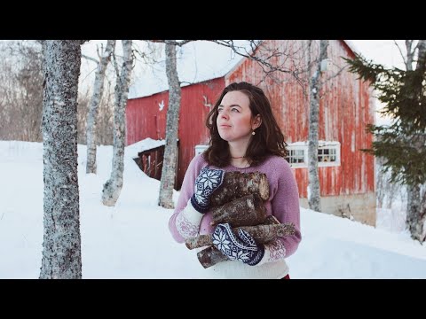 Winter on the Nordic Countryside Renovating our Entry Life
