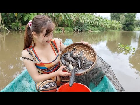 Kỷ Lục Bẫy Cá Ngày Mưa Bão Trúc Phương Trúng Lớn Sao Mấy