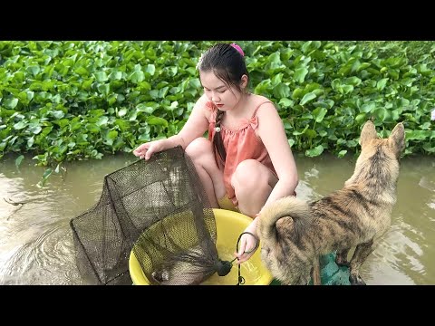 Bẫy 12 Cửa Săn Dính Con Cá Lớn Trên Sông Hậu