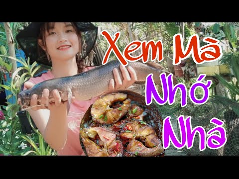 Về Miền Tây Ăn Cháo Trắng Với Cá Kho Khô Đậm Chất Quê Nhà