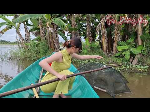 Trúc Phương Chế Tạo Cách Bắt Cá Mùa Nước Lũ Trúc Phương Vlog