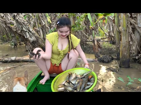 CHIM CHÍP Vượt Độ Cao Khi Đang Săn Cá Từng Phút Gây Cấn