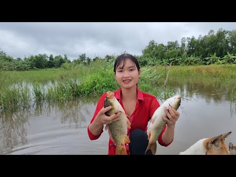 Thôn Nữ Làm Nên Chuyện Từ Tay Lưới Nhỏ Trúng Mánh Toàn Cá