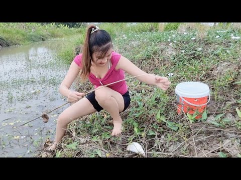 Trở Lại Khu Rau Dừa Câu Cá Mùa Này Trúng Bầy Cá Phi Mè Dinh