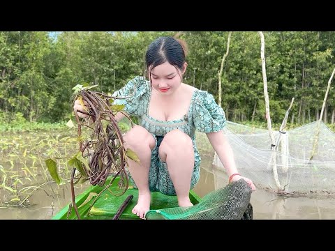 Dớn Cá Neo Trên Ruộng Ngập Dính Luôn Rắn RI mùa nước