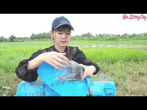 Thôn Nữ Ra Đồng Bẫy Rắn Bất Ngờ Truy Đuổi Kinh Hoàng Liên