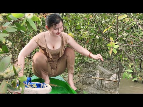 Săn Trúng Luồng Cá Lóc Lớn Mắc Bẫy Liên Tục Khu TRÀM RỪNG