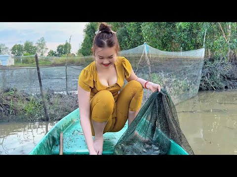 Cá Lớn Vô Cứng Bẫy Lôi Lên Xuồng Mà Không Nổi Trúc Phương