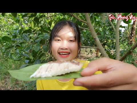 Thôn Nữ Ra Đồng Giăng Lưới Bắt Cá Nướng Nguyên Con Khổng Lồ