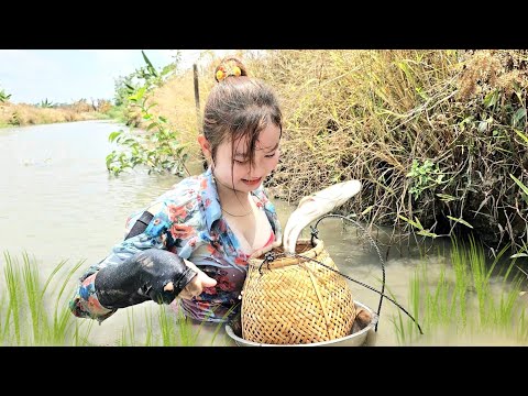 Mò Hang Bắt Rất Nhiều Con Cá Lóc Dưới Nước Sâu Tại Kênh 200