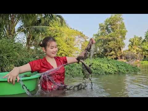 Mò Hang Này Săn Ếch Lớn Ẩn Nấp Bên Bờ Sông Trúc Phương Vlog