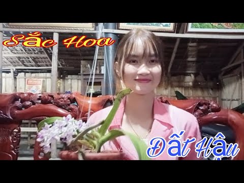 Đam mê làm nên tất cả Passion makes everything