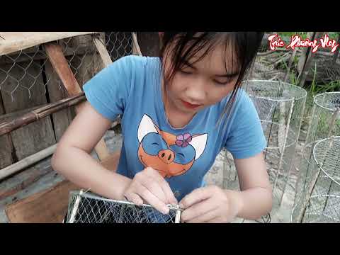 Khai Trương Bẫy Cá Mới Thôn Nữ Đưa Xuống Khu Cỏ U Du Chờ