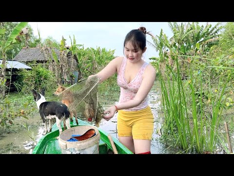Bắt trọn bầy Cá Lóc dính bẫy 12 cửa ngục ngây nhà Trúc