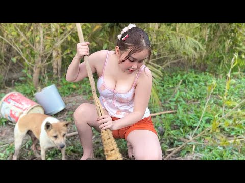 Đục Banh Đường Bờ Quyết Tâm GÁNH NƯỚC Bắt Chuột Đào Hang Ở