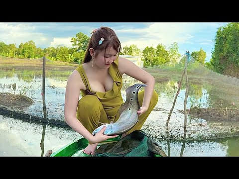 3 Con CÁ CƯỜM KHỦNG Sập Bẫy Ngày Nước Rút Kéo Lên Mà Tim
