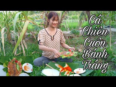 Cá chiên cuộn bánh miền tây món ngon mỗi ngày Fried fish