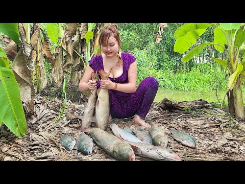 Chài Lưới Bắt 3 Con Cá Lớn Hơn 10kg Dính Chung Một Mẻ Mà