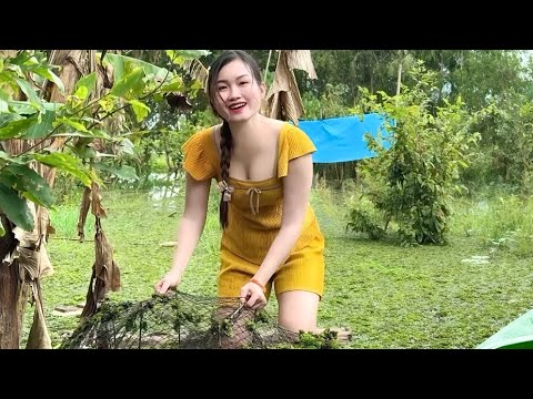 Bẫy 12 Cửa Phía Sau Nhà Trúc Phương Bắt Bầy Cá Ngon