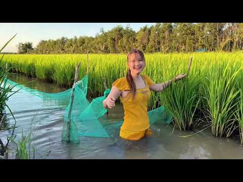Săn Mẻ Cá Lòng Tong Ngon Trúc Phương Phát Hiện Thêm Tổ Chim