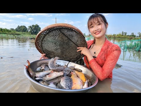 BẪY CÁ Dưới Mương Này Trúc Phương Kinh Ngạc Lần Đầu BẮT
