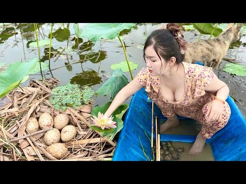 Phát Hiện Ổ Trứng Chim Rừng Khi Đang Câu Cá Trong Đầm Sen