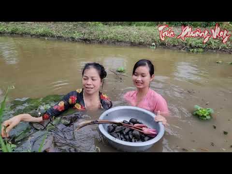 Cô Gái Ra Đồng Bắt Ốc Gặp Hang Cá Lạ Thử Thò Tay Đem Ra Ai