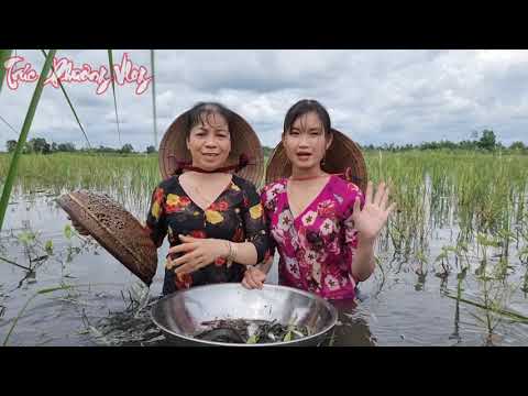 Hai Dì Cháu Ngoài Đồng Bắt Cá Đại Chiến Mùa Nước Nổi Kết