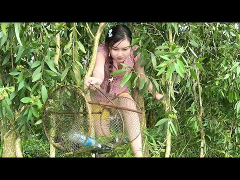 Chen Chút Giữa Rừng Tràm Bắt Cá Lươn Rắn Mùa Nước Nổi Trúc