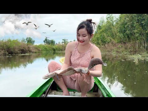 Giăng bẫy bắt Con Cá Cườm ẩn mình dưới kênh lôi luôn lưới