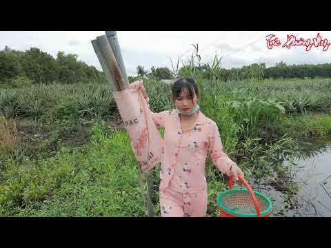 Thôn Nữ Ép Tim Khi Loài Lươn Da Trơn Vượt Ngục Không Kịp