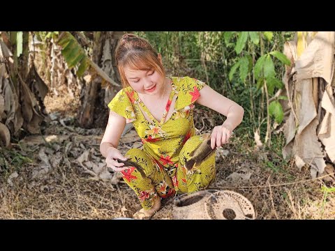 Câu Những Con Cá Rô Khủng Của Rừng Chờ Đợi Loại Mồi Này Đã