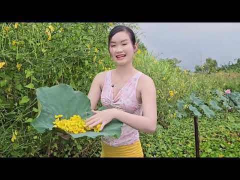 Bẫy CỐNG NHUM Trên Sông Mồi Cá Trúc Phương Trúng Cả Bầy