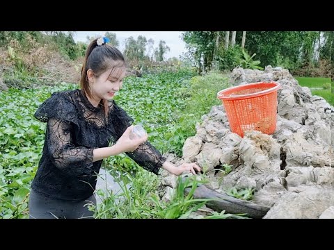 Nín Thở Trôi Theo Dòng Nước Lạnh Ngắt Bắt Những Con Cá Ẩn