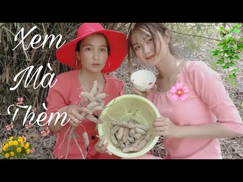 Cây Me Đầu Làng Cuộc Hành Trình Đầy Kỷ Niệm Của Hai Mẹ Con