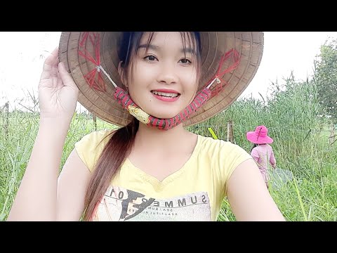 Thôn Nữ Tâm Sự Trong Mưa Cho Chuyến Bẫy Chuột 4 Chân Trúc