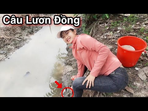Cô Gái Câu Lươn Đồng Trong Mưa Vùng Đất Lạ Rất Nhiều Điều