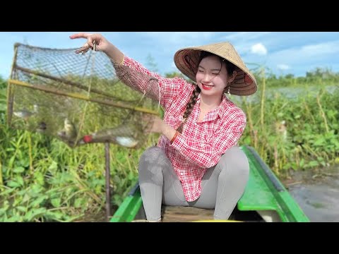 2 Ngày liên tiếp bẫy lờ cái nào cũng dính CÁ trên ruộng