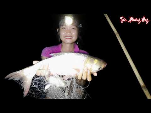 Thôn Nữ Ra Đồng Săn Đêm Bắt Cá Mùa Nước Nổi Trúc Phương Vlog